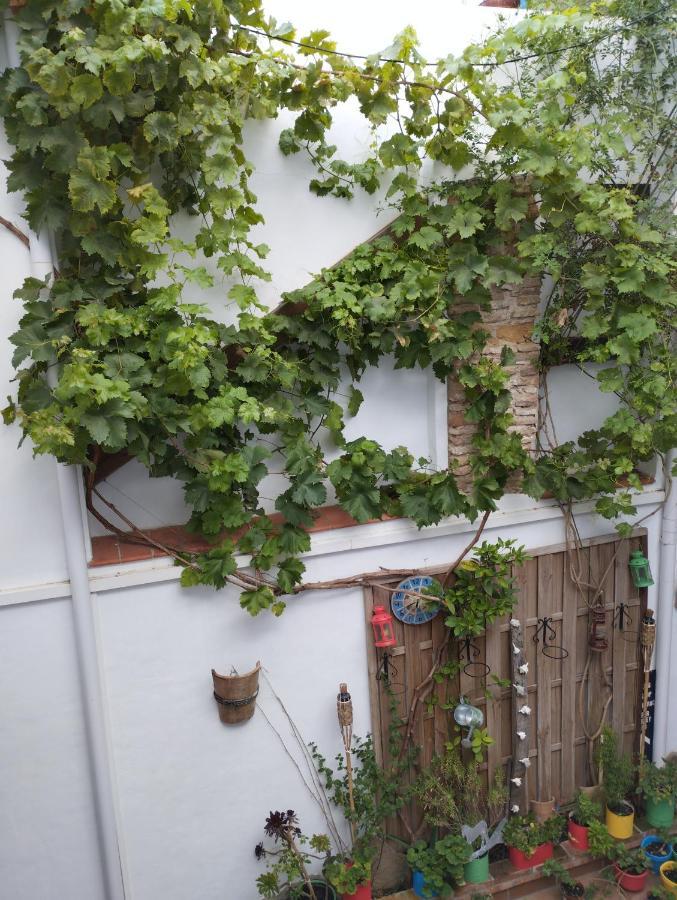 Apartamento Eg17 アルコス・デ・ラ・フロンテーラ エクステリア 写真